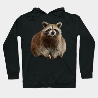 Fat Raccoon Hoodie